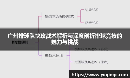广州排球队快攻战术解析与深度剖析排球竞技的魅力与挑战